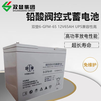 통신 및 태양 에너지 저장용 Shoto/6-GFM-65 납산 배터리 12V65AH